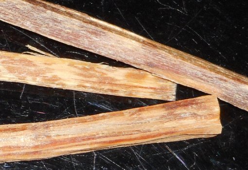 Fatwood / Maya sticks +/- 100 gram (tondel) - 6