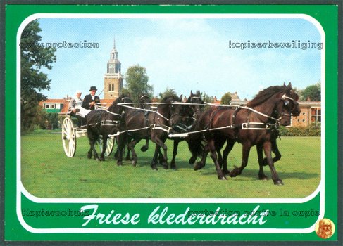 KLEDERDRACHT Friese klederdracht, in sjees - 1
