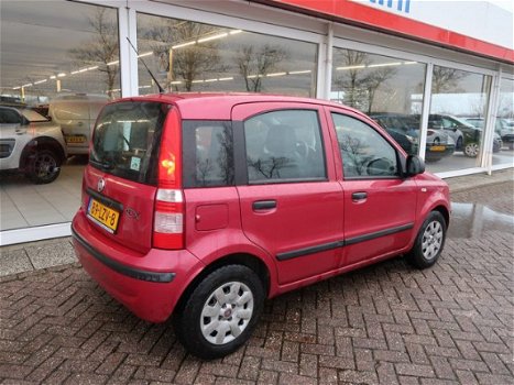 Fiat Panda - 1.2 ACTIVE - 1