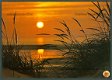 NATUUR Zonsondergang aan de Noordzee - 1 - Thumbnail