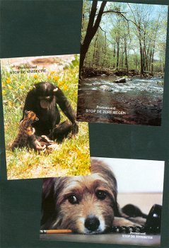 NATUUR Stop alle schade en leed toegebracht aan dier en natuur (mapje met 12 kaarten) - 5