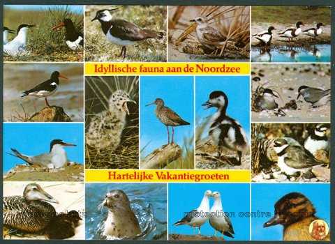 NATUUR Idyllische fauna aan de Noordzee - 1