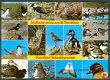 NATUUR Idyllische fauna aan de Noordzee - 1 - Thumbnail