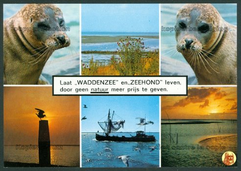 NATUUR Laat Waddenzee en Zeehond leven (v1) - 1