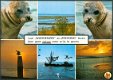 NATUUR Laat Waddenzee en Zeehond leven (v2) - 1 - Thumbnail