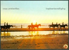 NATUUR Paardrijden in de avondschemering op het strand