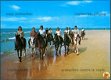 NATUUR Paardrijden op het strand - 1 - Thumbnail