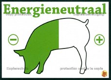 ALLERLEI Energieneutraal varkenshouden - Duurzaam Varkensvlees