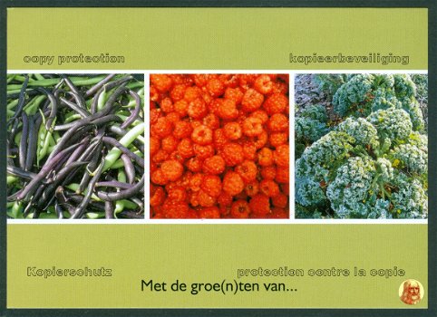 ALLERLEI Met de groe(n)ten van - Tuinderij De Groenteboer, Oudewater - 1