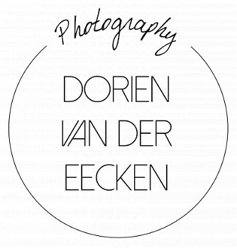 Fotograaf Wetteren - 1