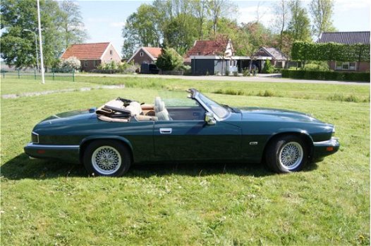 Jaguar XJS - 4.0 6cyl 12950 ex btw Cabriolet Youngtimer - 1