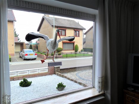 Geboorte 3d ooievaar door glasraam kop binnen lijf buiten. - 3