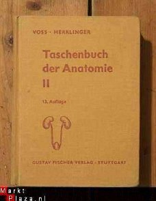 Voss/Herrlinger - Taschenbuch der Anatomie II