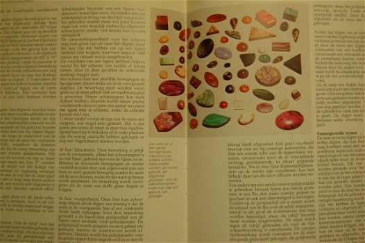 Het stenenboek - 7
