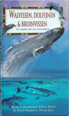 Walvisen - Dolfijnen - Bruinvissen