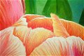 Schilderij Tulip Dordogne - 2 - Thumbnail