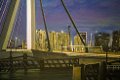 Schilderij Erasmusbrug Rotterdam - 4 - Thumbnail