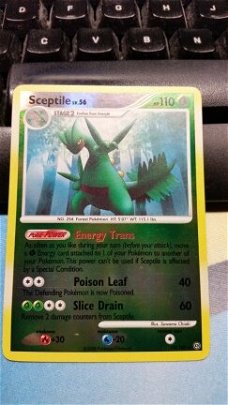 Sceptile (reverse) 10/100  Diamond and Pearl Stormfront nm