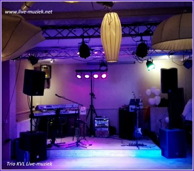 Bruiloft en feest Drive-in-show DJ karaoke-show & live muziek - 7