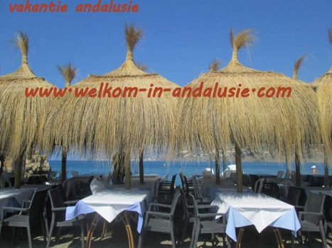 te huur vakantiehuizen andalusie zuid spanje - 5