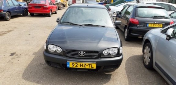 Toyota Corolla - 2.0 D D4D Linea Terra 2drs 1999 - 1