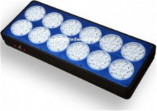 Apollo 12 LED Groei- en bloeilamp