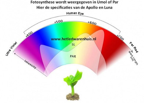 Apollo 12 LED Groei- en bloeilamp - 5