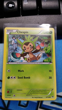 Chespin 8/162 XY BREAKthrough - nr. 1