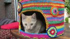 Superleuke artikelen voor katten - opbrengst naar zwerfdierenprojecten - 4 - Thumbnail