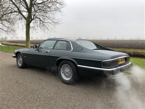 Jaguar XJS - 5.3 V12 COUPÉ - 1