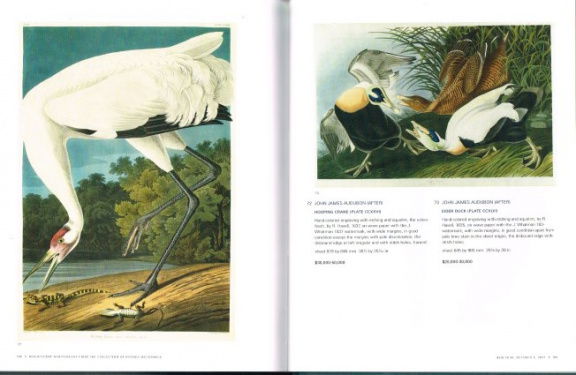 Sotheby's New York - Magnificent Ornithology from the Collection of Brooks Mccormick Sold for the Be - Afbeelding 5