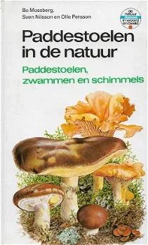 Paddestoelen in de natuur - 0