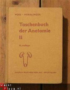 Voss/Herrlinger - Taschenbuch der Anatomie II