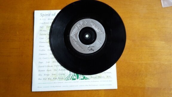 Vinyl Spirit Of The Forest ‎– Spirit Of The Forest - 1