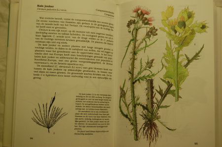 Water- en Weideplanten - Afbeelding 2