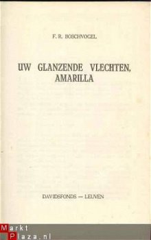 F.R. BOSCHVOGEL**UW GLANZENDE VLECHTEN AMARILLA** BOSCHVOGEL - 1