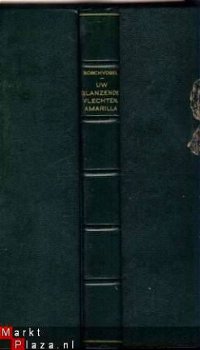 F.R. BOSCHVOGEL**UW GLANZENDE VLECHTEN AMARILLA** BOSCHVOGEL - 3