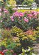 Tips voor uw tuin van Willemse - 1 - Thumbnail