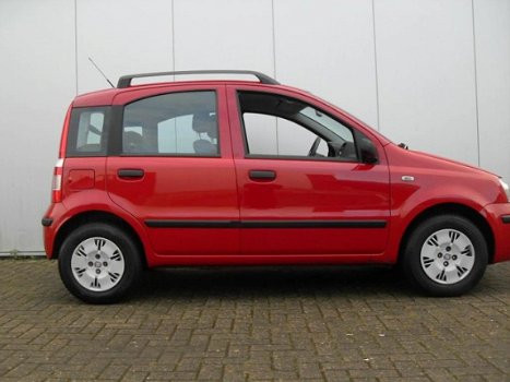 Fiat Panda - 1.2 Edizione Cool - 1