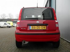 Fiat Panda - 1.2 Edizione Cool