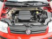 Fiat Panda - 1.2 Edizione Cool - 1 - Thumbnail