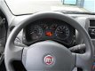 Fiat Panda - 1.2 Edizione Cool - 1 - Thumbnail