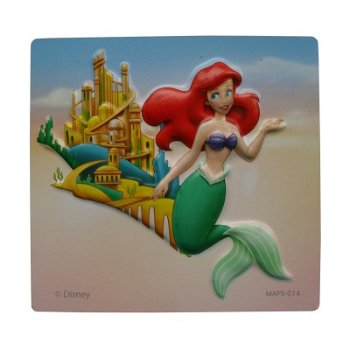 Disney magneet Ariel en kasteel bij Stichting Superwens! - 1