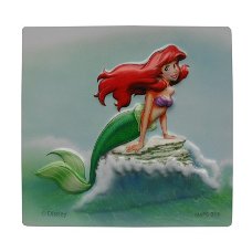 Disney magneet Ariel en prins bij Stichting Superwens!