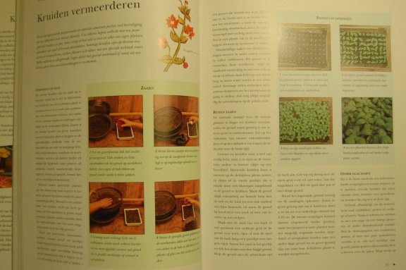 Het complete boek over kruiden - Afbeelding 5
