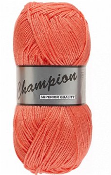 Champion kleurnummer 024