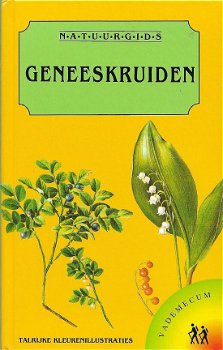 Geneeskruiden - 1