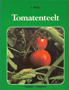 Tomatenteelt