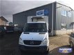 Mercedes-Benz Sprinter - 311 cdi koelwagen Thermoking - 1 - Thumbnail