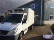 Mercedes-Benz Sprinter - 311 cdi koelwagen Thermoking - 1 - Thumbnail